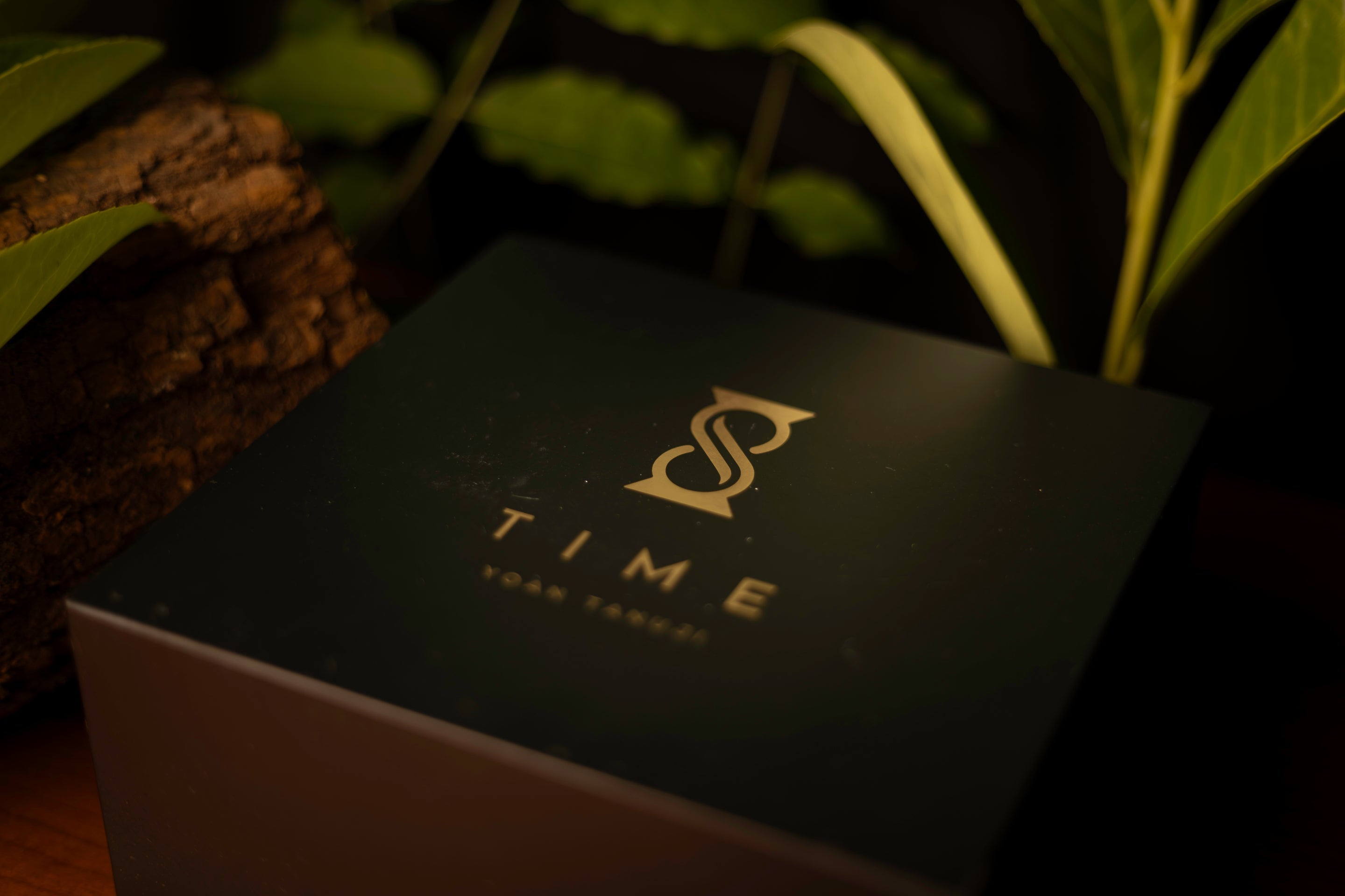 TIME